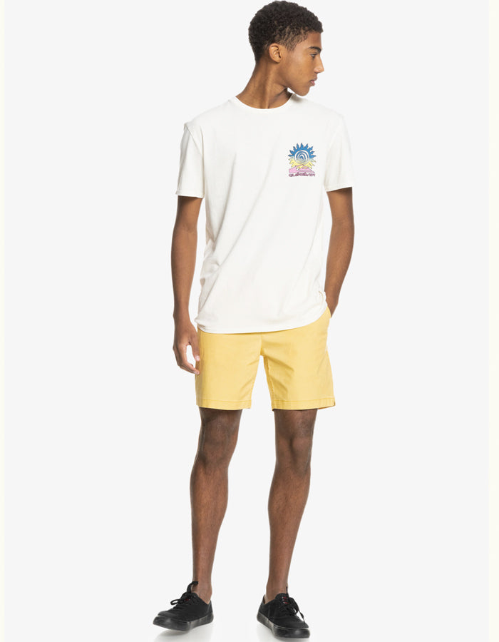  QUIKSILVER TAXER 17" ELASTICATED SHORTS RATTAN